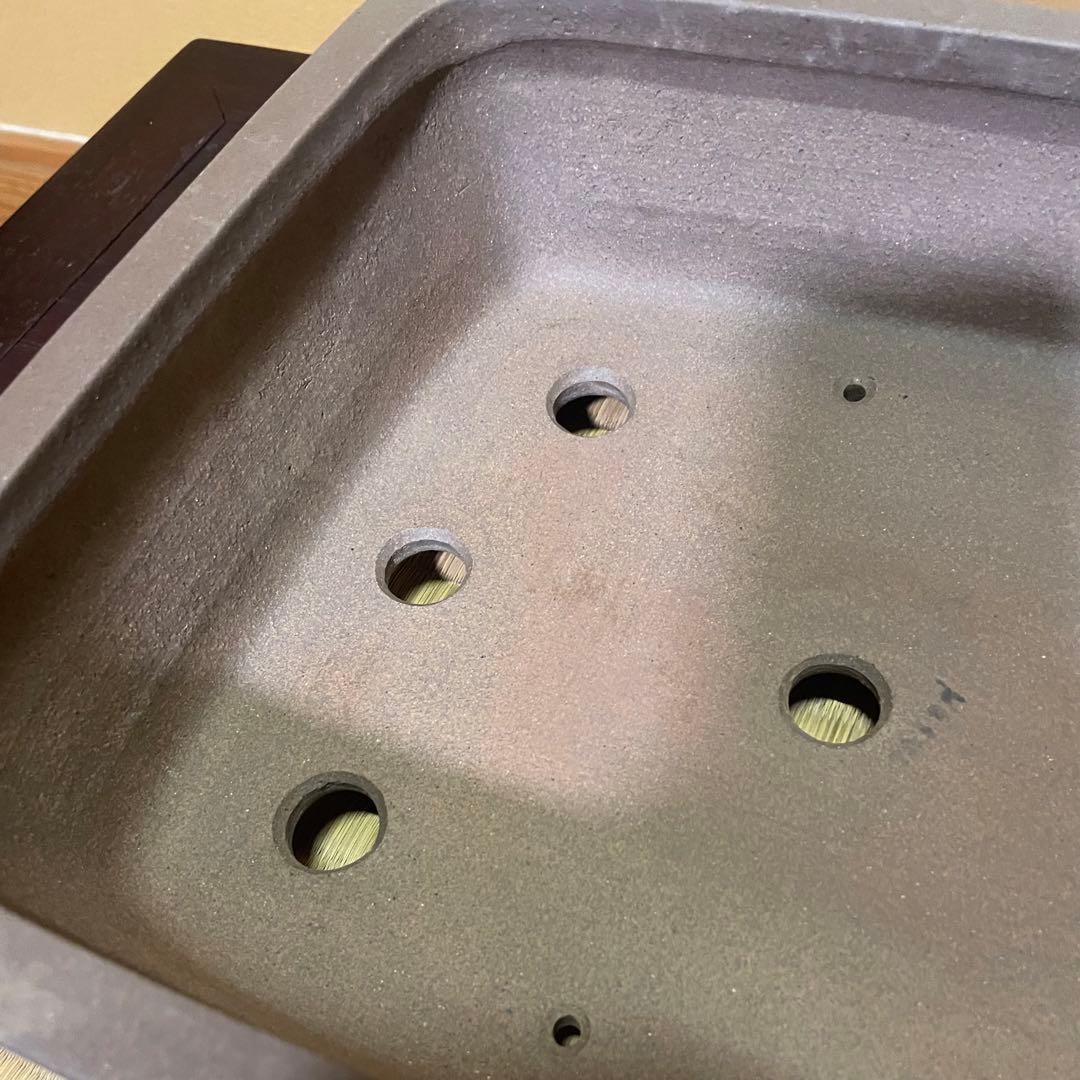 【落款あり】中村祐士 常滑 中野裕士 紫泥長方鉢