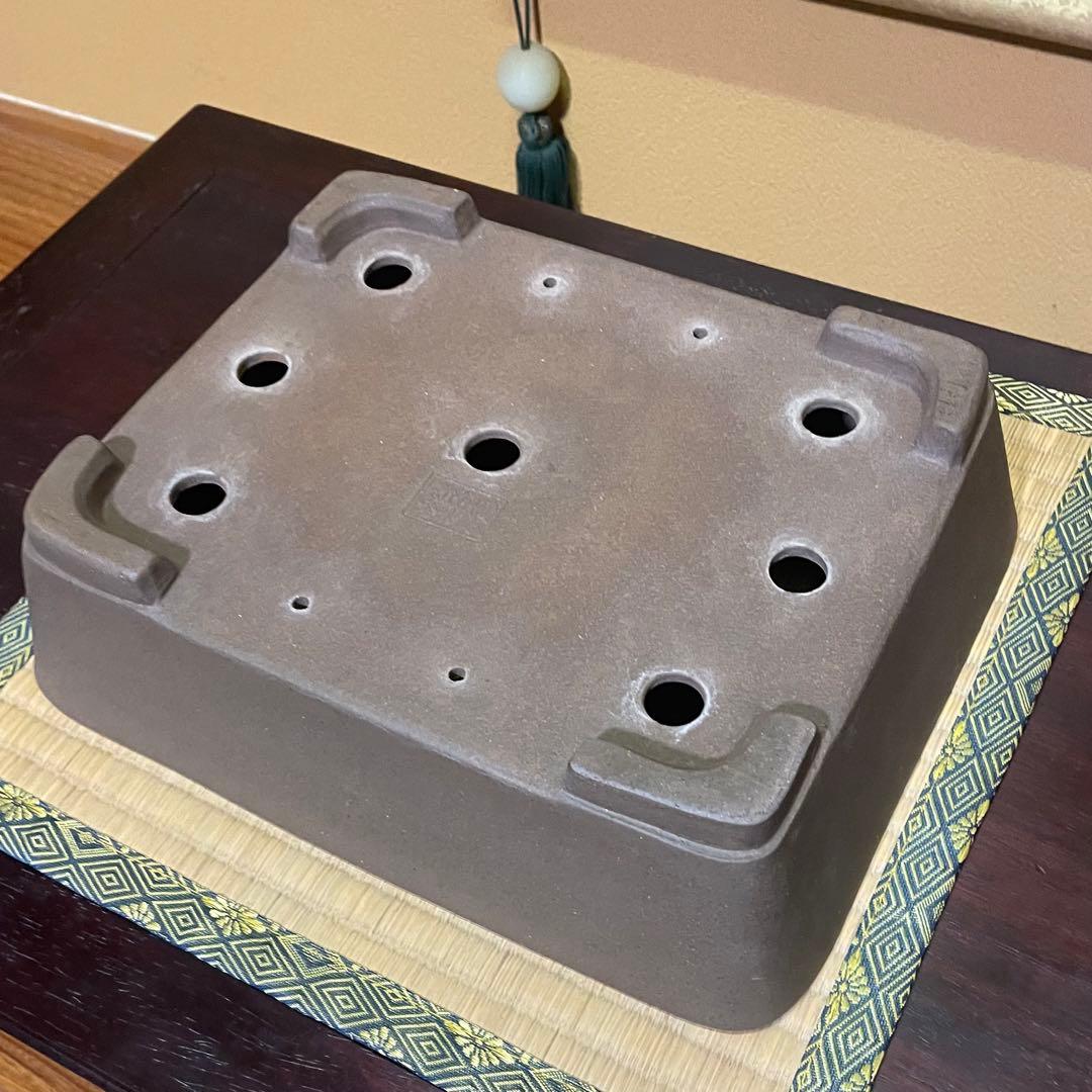 【落款あり】中村祐士 常滑 中野裕士 紫泥長方鉢