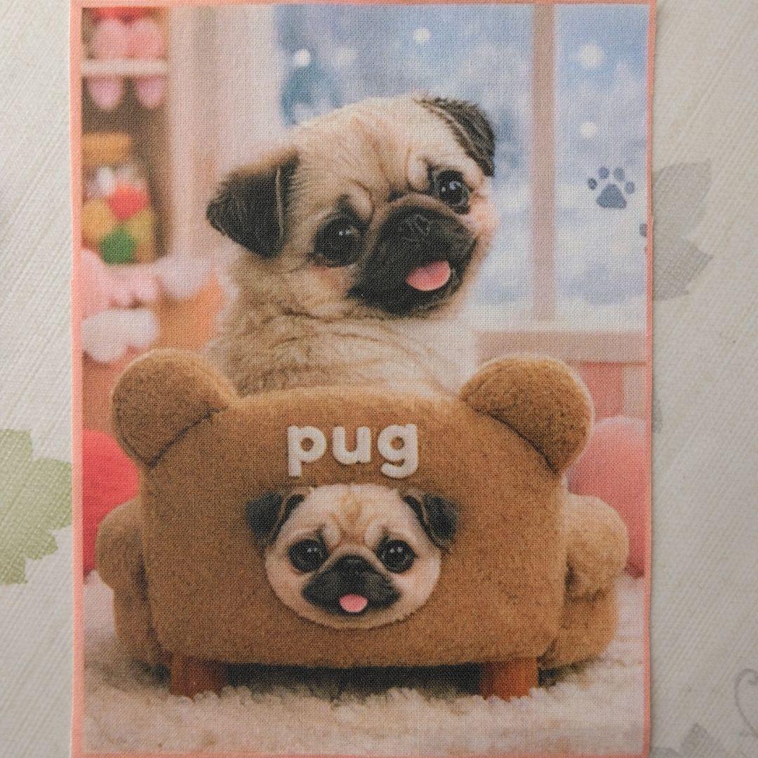 ☆受付☆ パグ