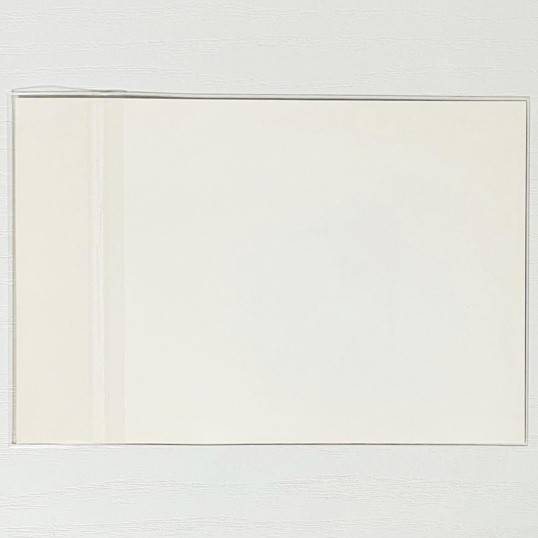 V系★R指定【集合】特典★ブロマイド★生写真★写真★8点セット