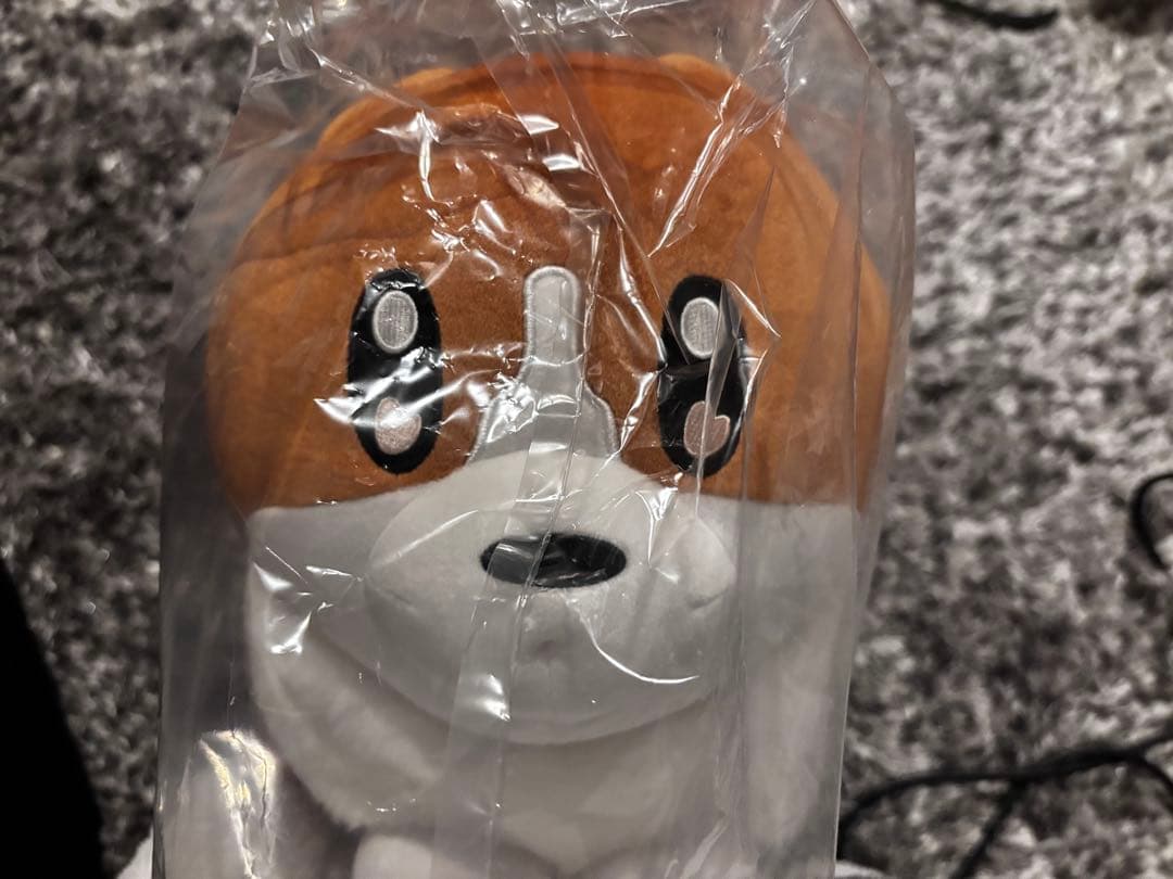 ヨルシカ suisデザイン コーギーぬいぐるみ ヨルシカ LIVE 2024「前世」 [suisデザイン コーギーぬいぐるみ][完全