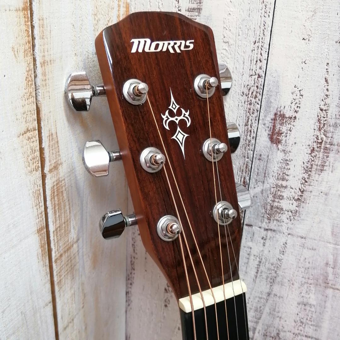 MorrisモーリスM-351 NATセミハードケース付属アコギ