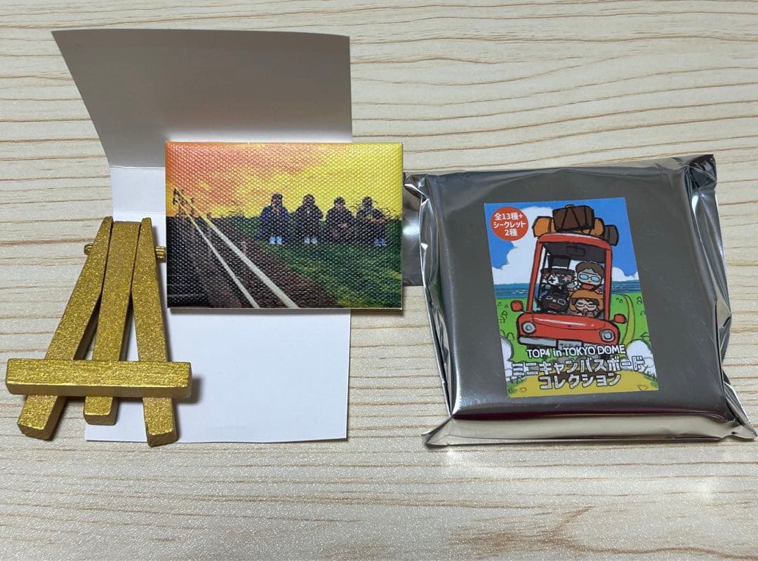 TOP4 in TOKYO DOMEミニキャンバスボードコレクション異物混入