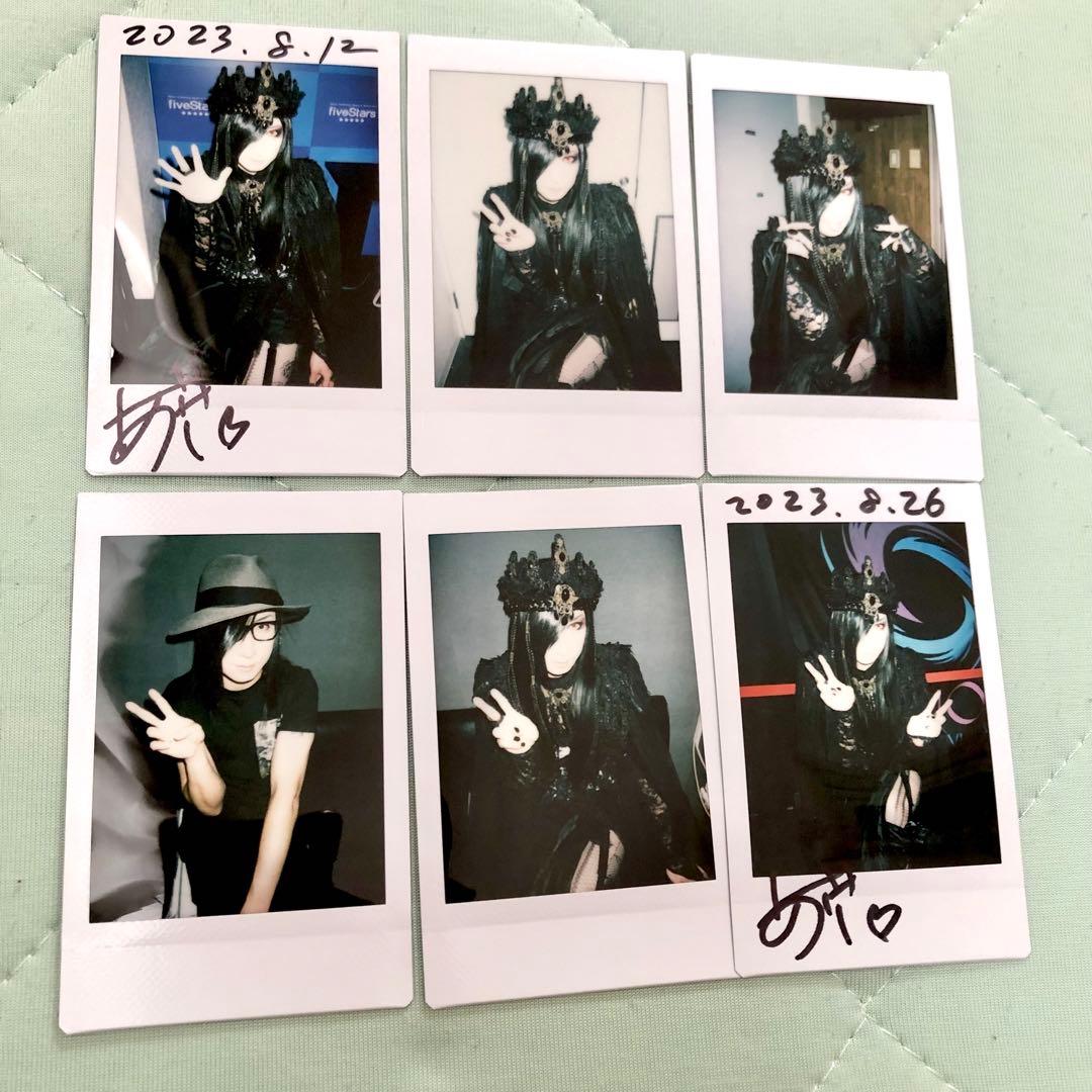 D ASAGI 浅葱 チェキ シュヴァルツヴァルトの獣 JVM グッズ シングル