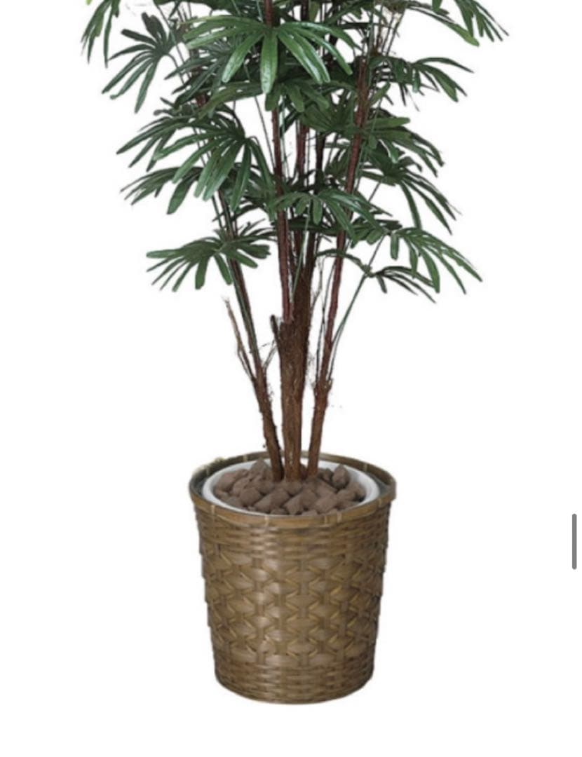 光触媒　人工観葉植物　ウォールグリーン　フェイクグリーン　シュロチク 1.6m