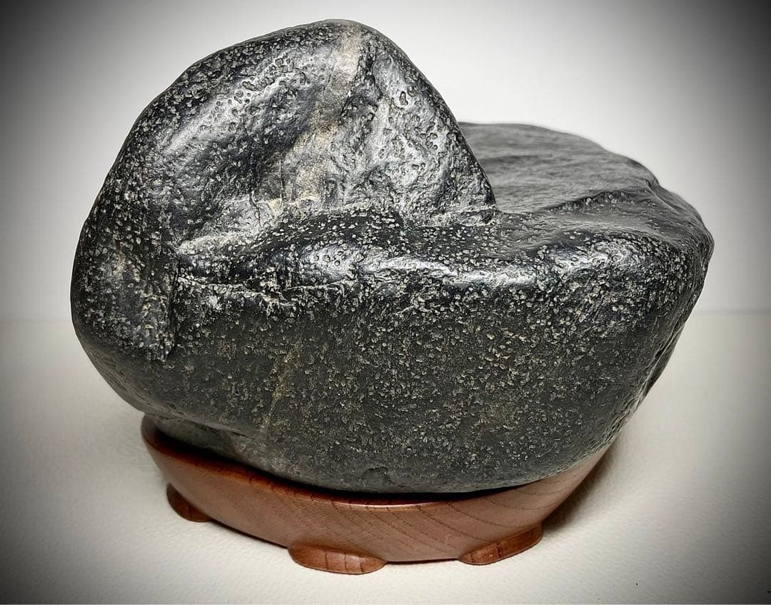 姉川梨地石 横18.5×高13×奥行15(cm) 3.74kg  水石 盆栽