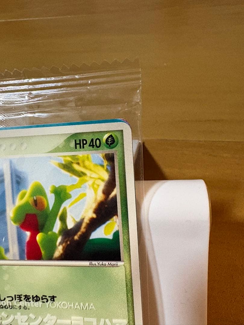 ポケモンカード キモリ ポケモンセンターヨコハマプロモカード 037/PCG