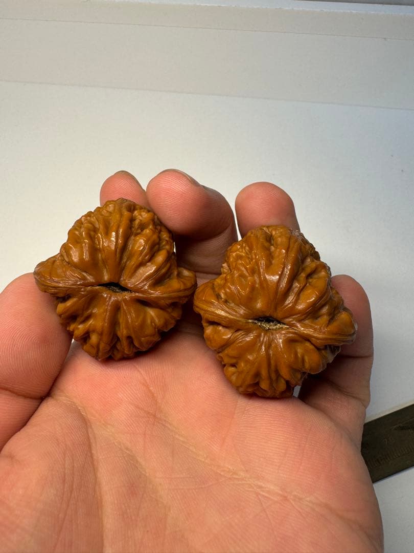 希少文玩核桃 平谷元宝 金塊のような形状 極太楞