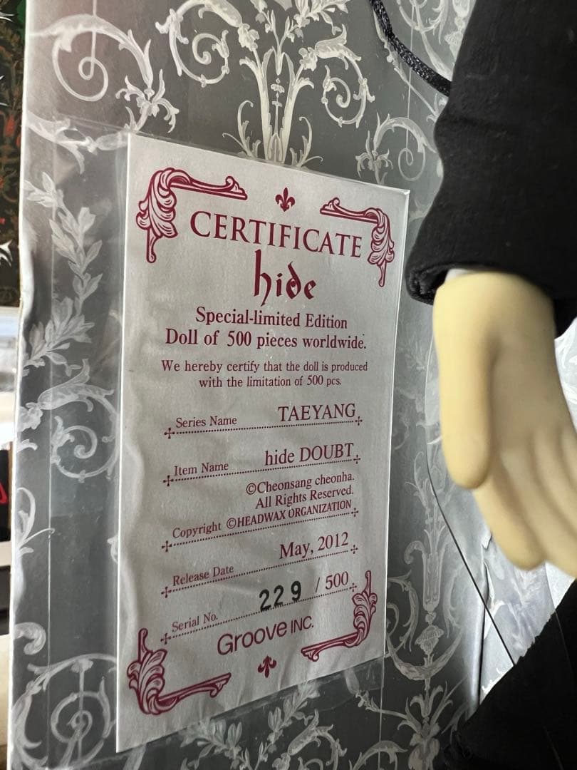 限定品　hide DOUBTテヤン　貴重