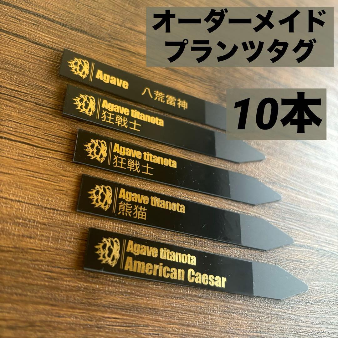 5本 オーダーメイド プランツタグ 金文字 園芸ラベル アガベ チタノタ