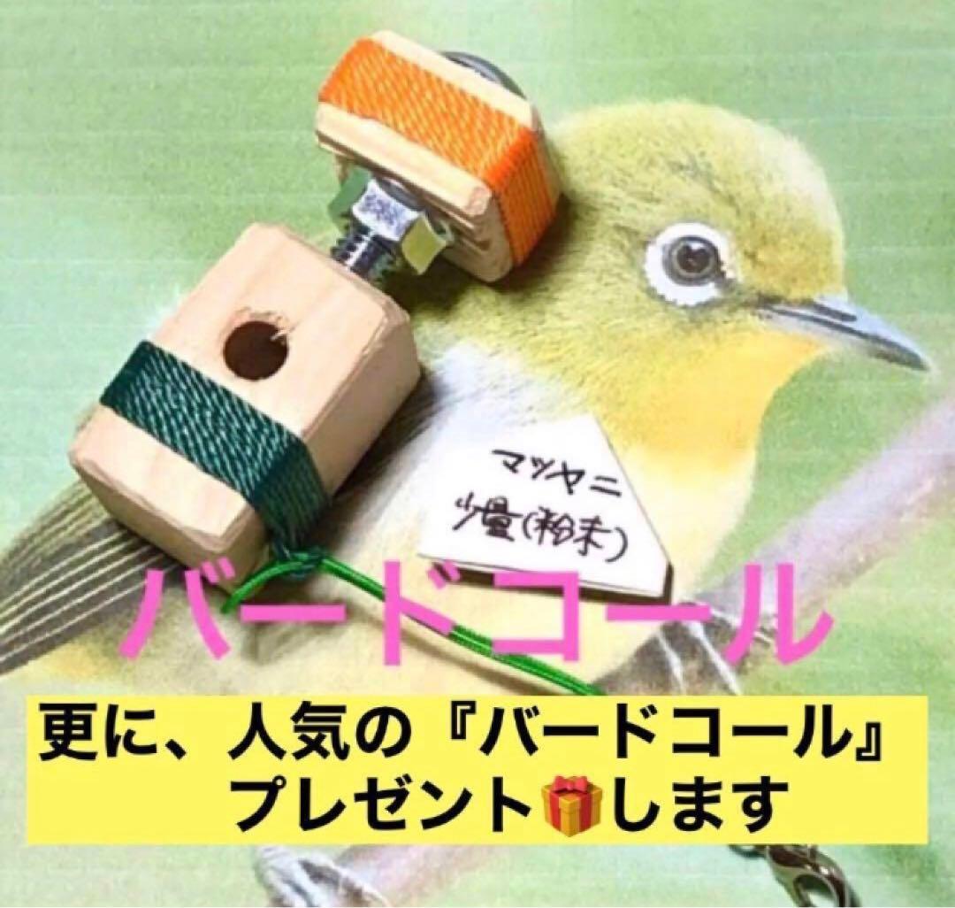 太鼓と太鼓台セット【キッズ和太鼓】 《太鼓寸法: 直径24cm 中型6インチ》