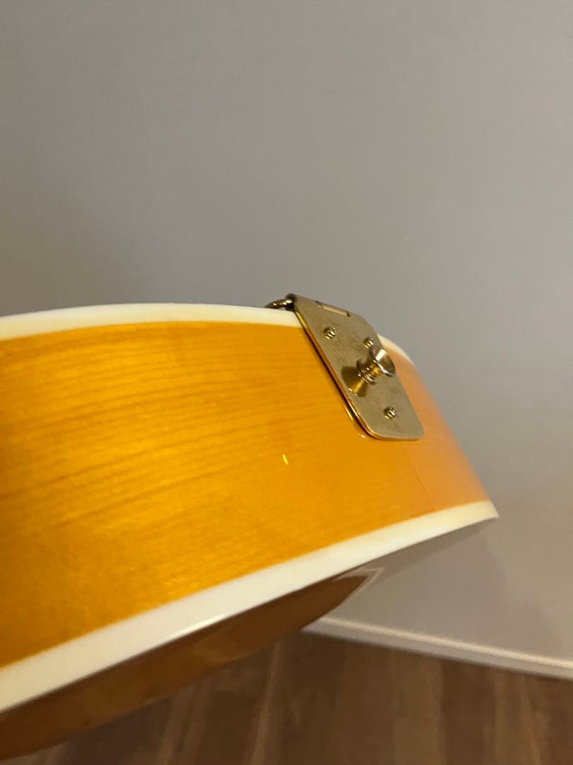 Bunny RFA-65 フルアコ