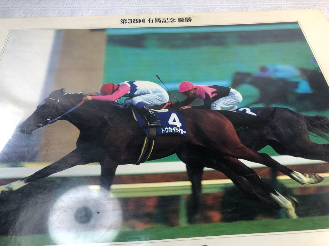 第38回有馬記念優勝Tokai Teio 1000ピース ジグソーパズル - メルカリ