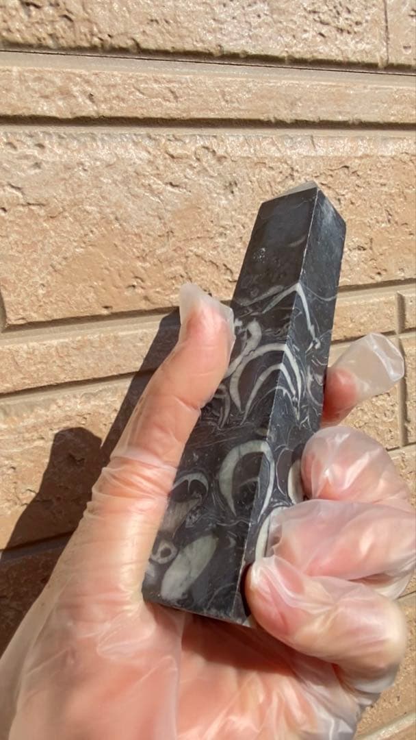 フォッシルマーブル（化石大理石）タワー／ポイント 希少六角柱 天然石