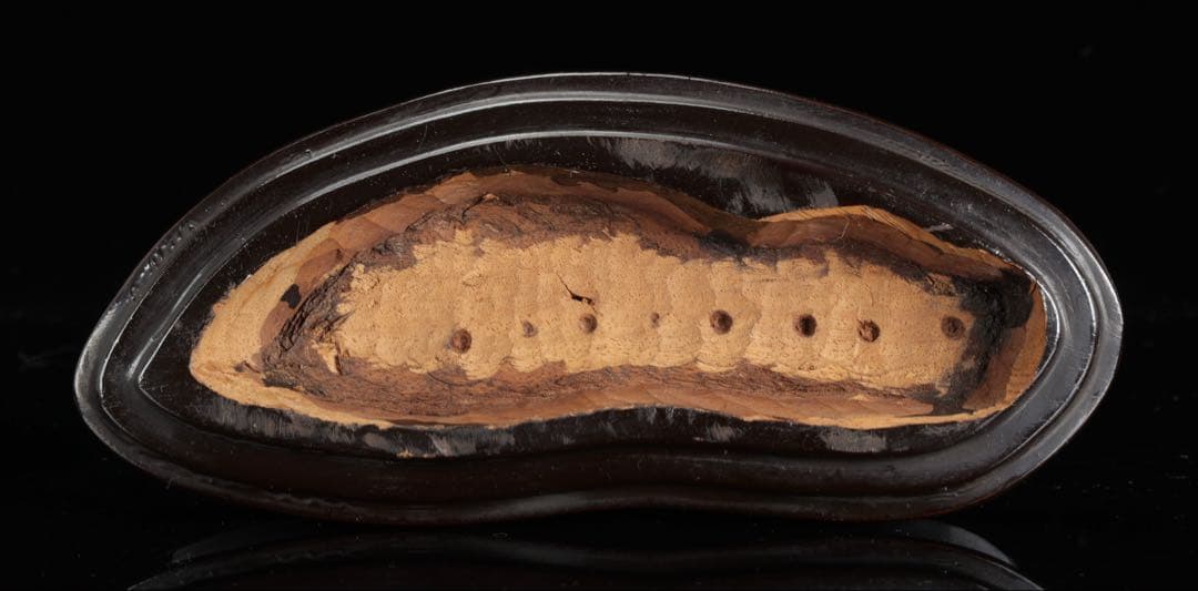 菊花石 紋石 台座付 1.7kg 鑑賞石 原石 自然石 美石 水石 盆石 飾石