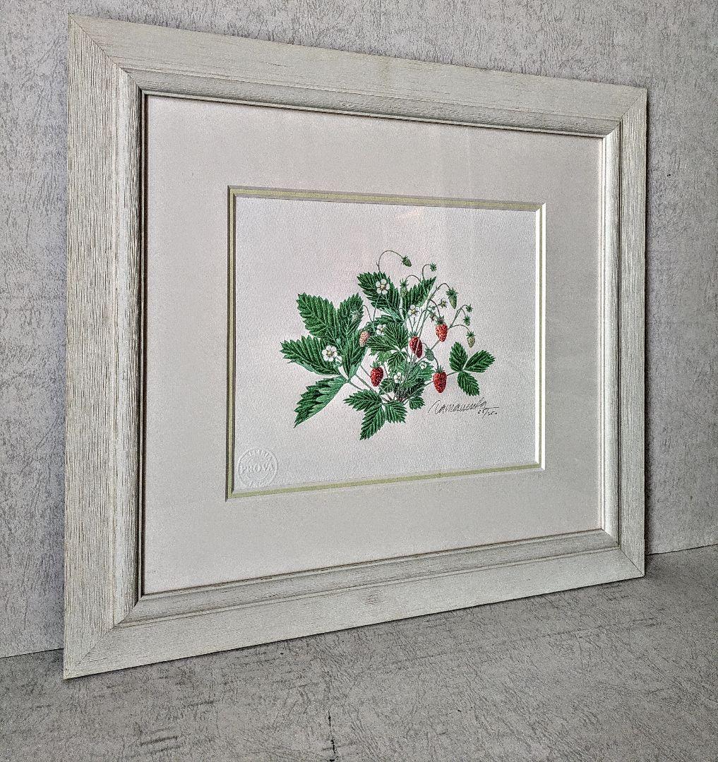 玉村豊男 「森のイチゴ ２００１」自筆サイン、美品 玉村豊男 「森のイチゴ 2001」自筆サイン、美品