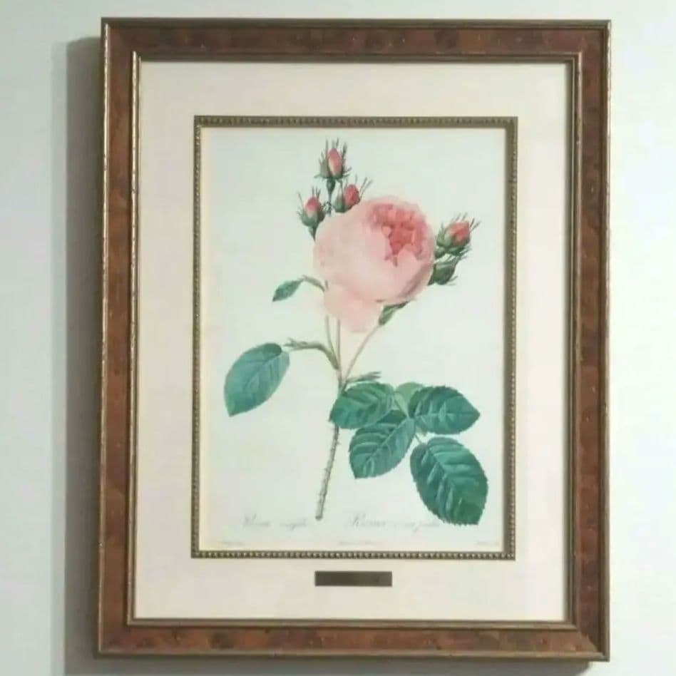 ① ルドゥーテ 絵額 レ ローズ バラ図譜 フォリオ判 銘木調フレーム 額