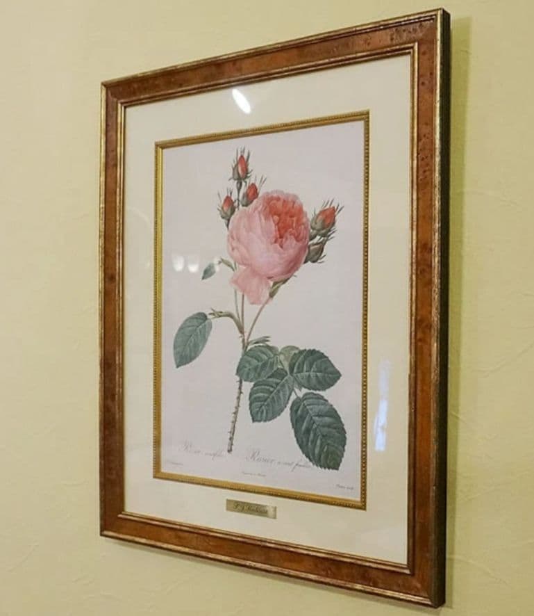 ① ルドゥーテ 絵額 レ ローズ バラ図譜 フォリオ判 銘木調フレーム 額