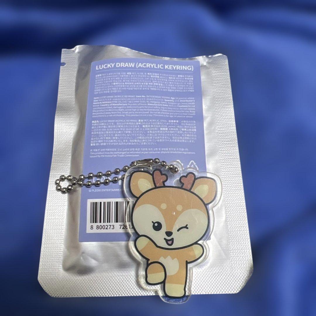 SEVENTEEN JOSHUA ジョシュア ミニティーン アクリル シャスミ - メルカリ