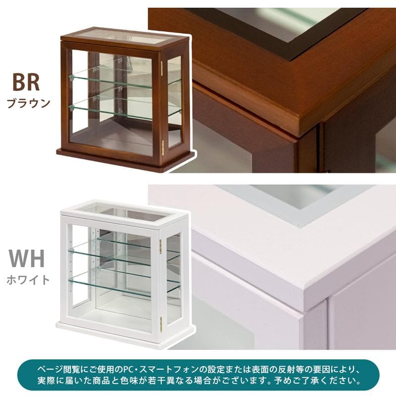 《新品・送料無料》スリムコレクションケース　ヨコ型　BR/WH