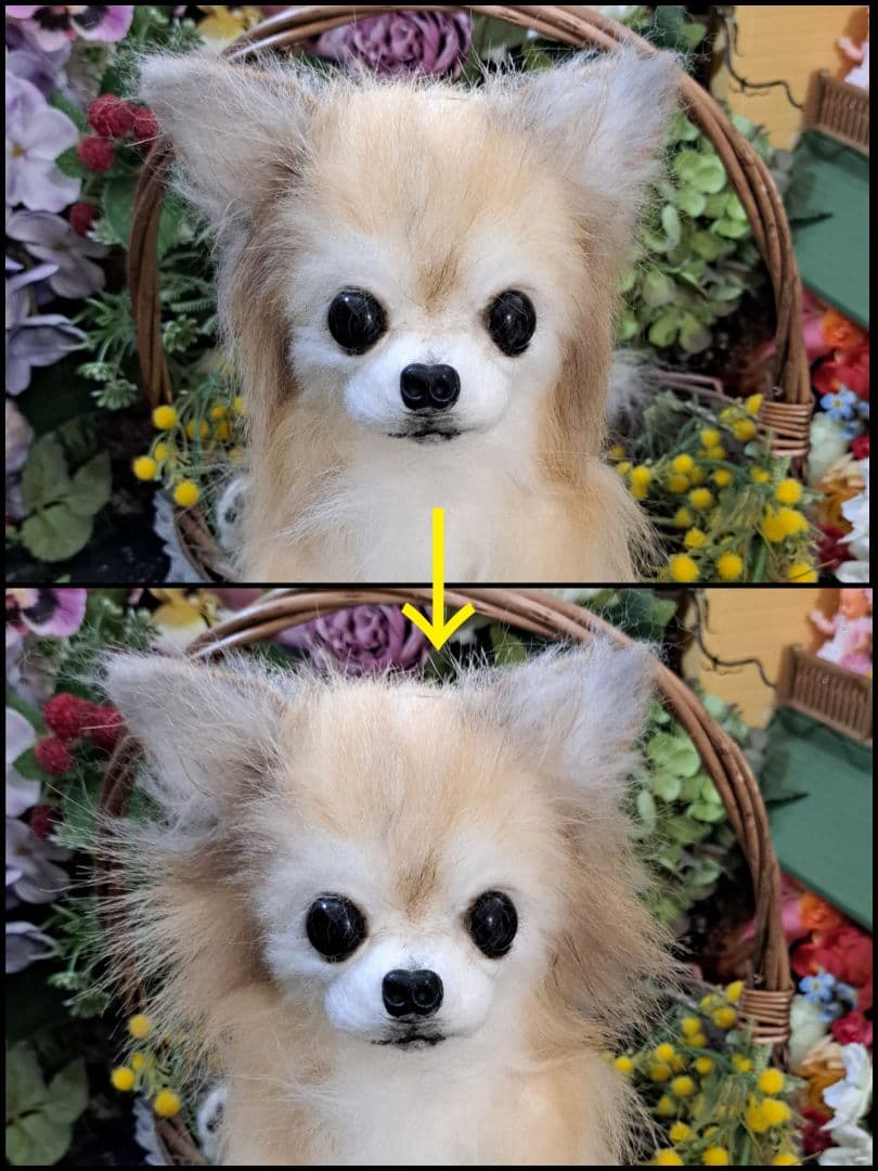 展示画像 実物大 ぬいぐるみ オーダー チワワ ペットロス 愛犬