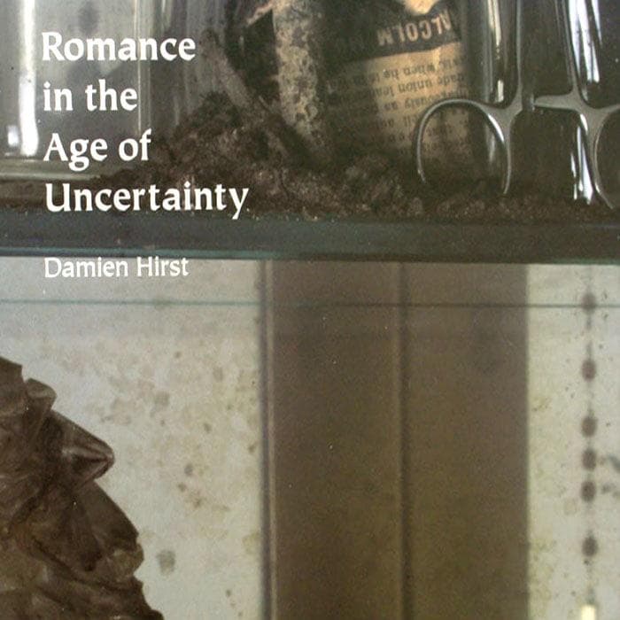 額装済/Romance in the Age ダミアン ハースト/アートポスター - メルカリ