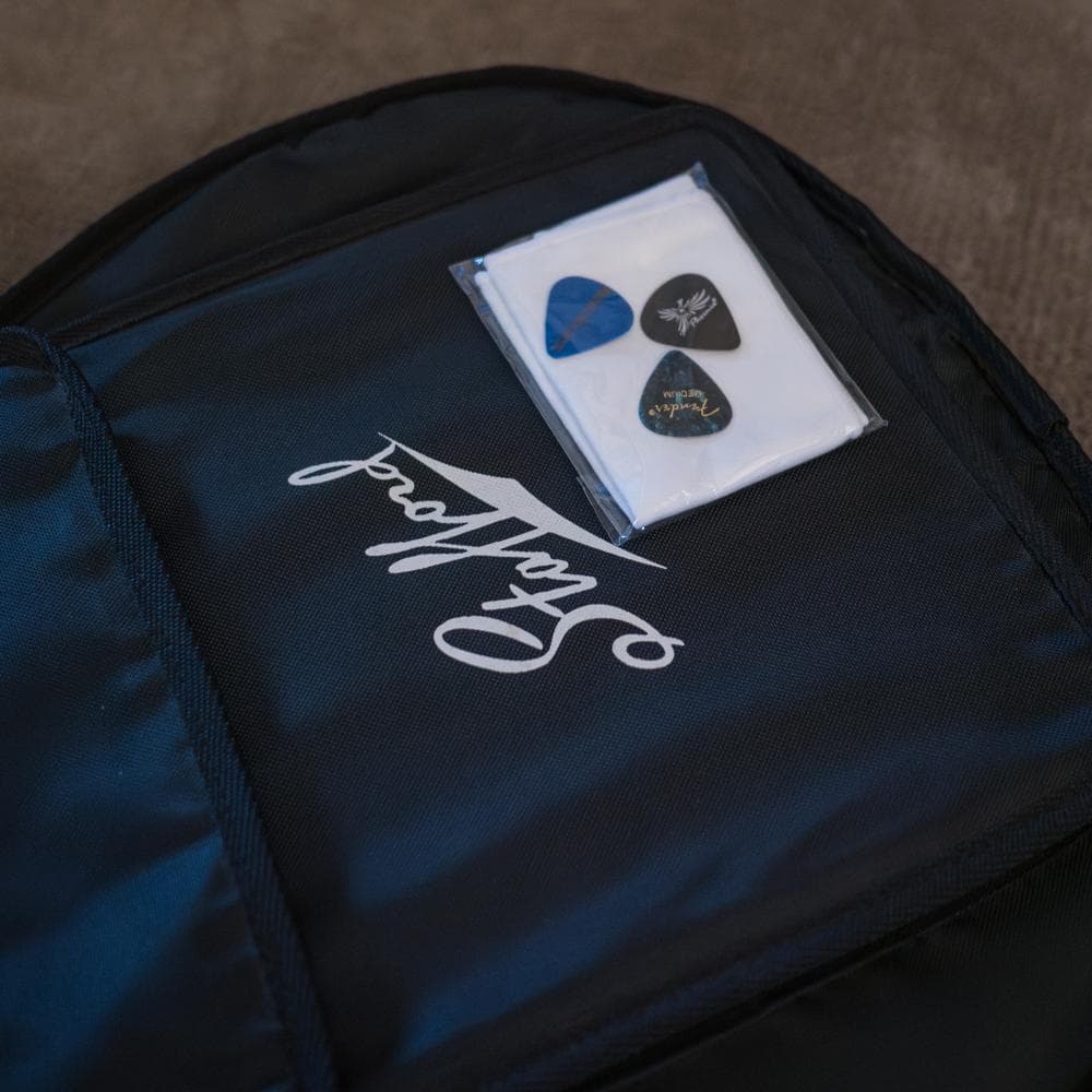 Stafford SEP-500 2004年 美品エレアコ