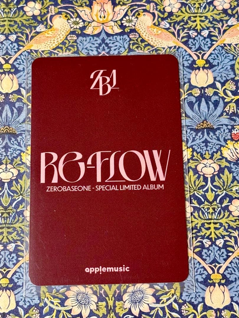 zb1 トレカ ジャンハオ RE-FLOW トレカ applemusic - メルカリ