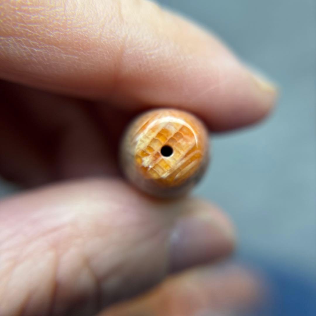 もんちゃんフォッシルコーラル　天珠　1-291