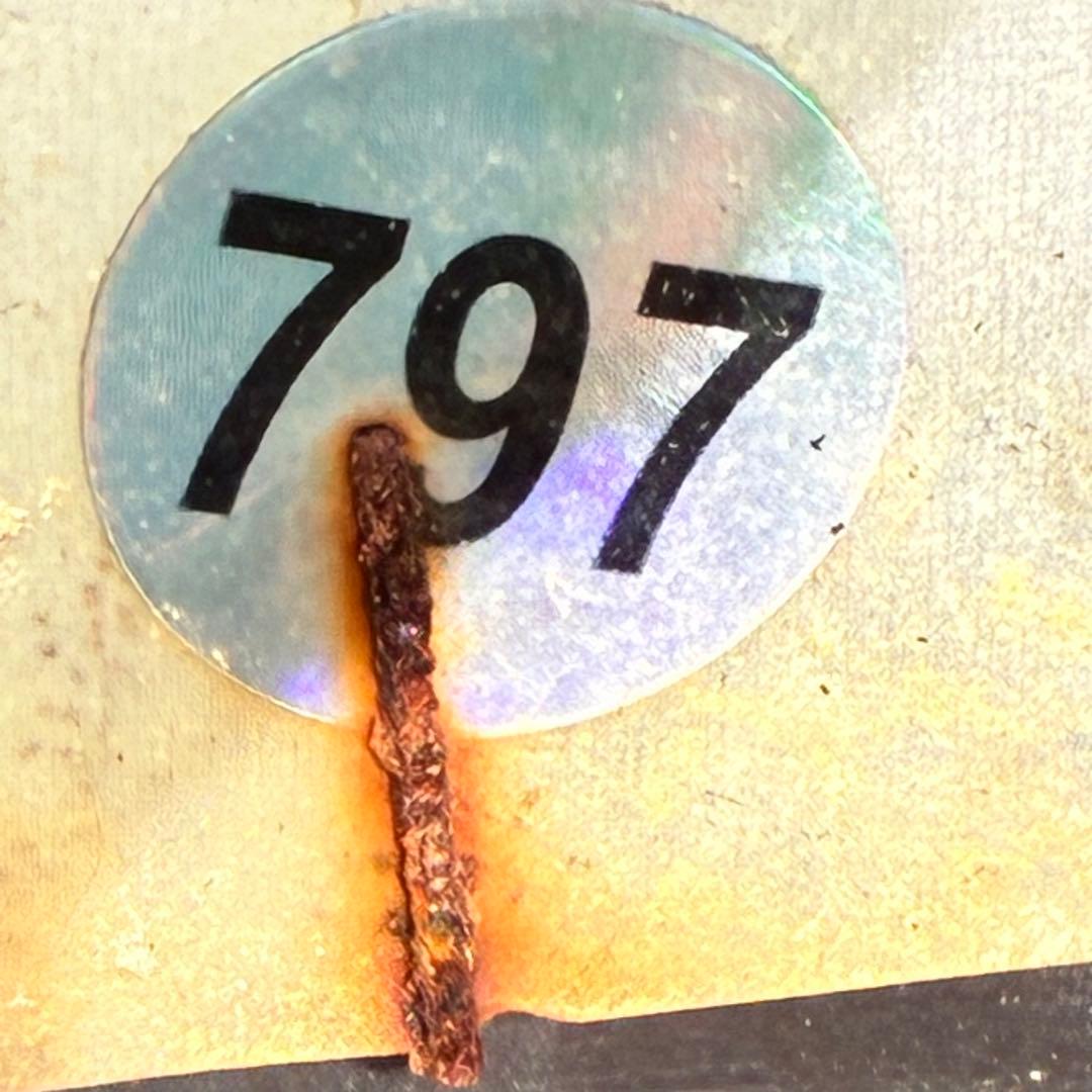 ヒ*イ様 ☘️ 唯一無二❤️開花株❤️根充実❤️⭐️超⭐️沢山新芽❤️797超希