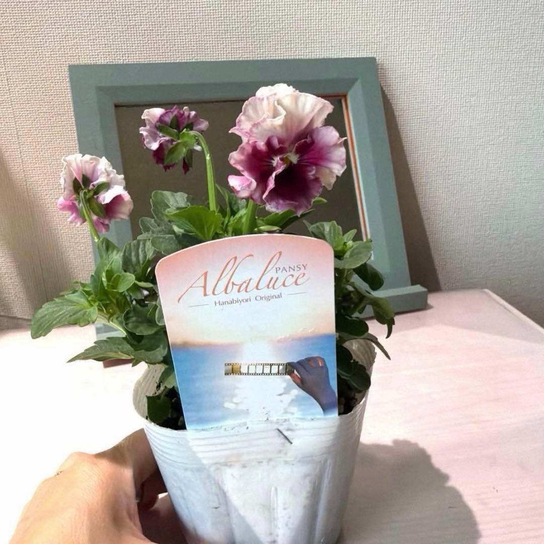 ✿Dom❤Mia✿プロフ必読✿様　リクエスト　おまとめ10点