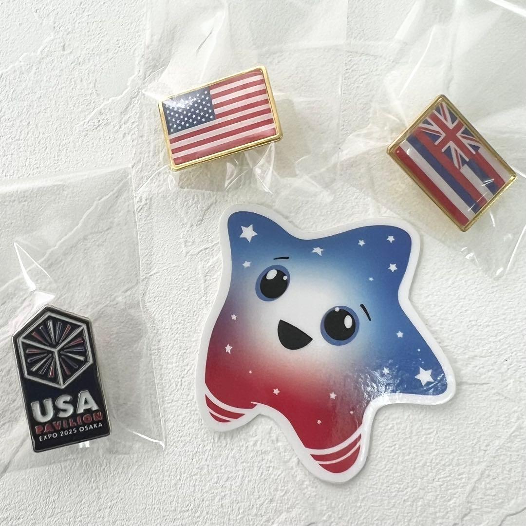 ☆非売品☆大阪関西万博 2025 アメリカ館 パビリオン ピンズ