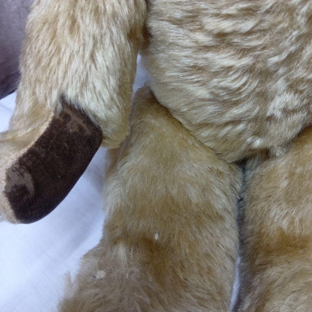 チコちゃん様専用♥イギリスからやって来たクリクリお目目の