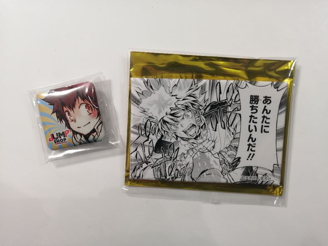 家庭教師ヒットマンREBORN 沢田綱吉 京都 キャラバッジ 缶バッジ 家庭教師ヒットマンREBORN！ 【描き下ろし】 沢田綱吉 缶バッジ