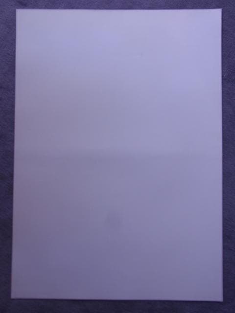 未使用品 非売品 ポスター プロジェクトアームズ 皆川亮二 2001年 稀少