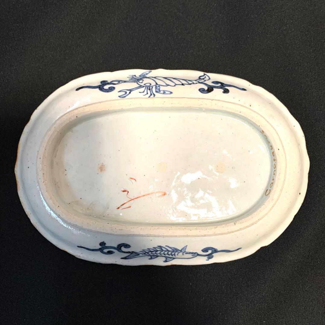 松浦コータロー 色絵 楕円輪花皿 カルノタウルス - メルカリ