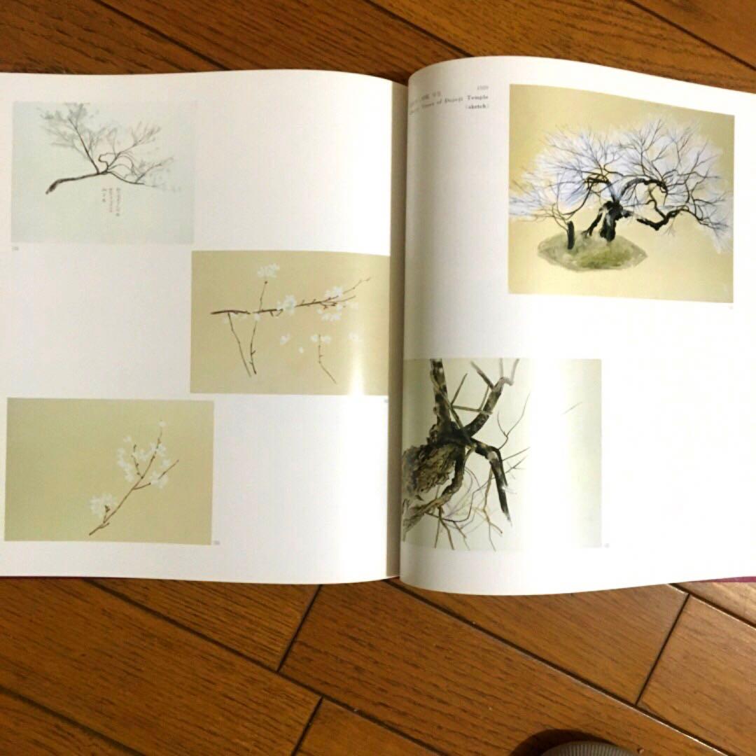 美品 写実の草分け 細密描写 速水御舟 100作品以上 日本画 1986年