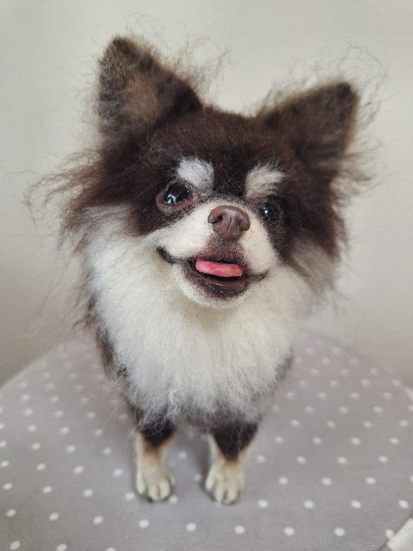 《確認用》羊毛フェルトチョコタン