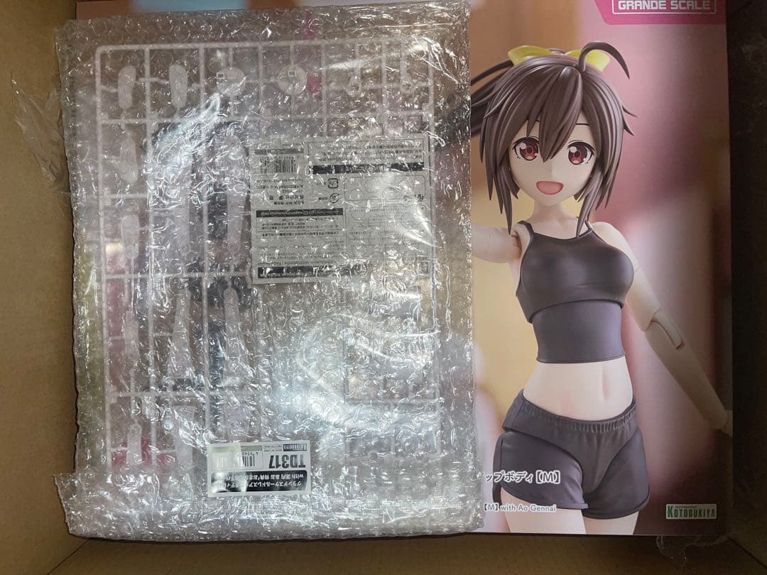 グランデスケール ドレスアップボディ　源内あお　ショップ特典つき 限定特典付き】グランデスケールドレスアップボディ【M】with 源内