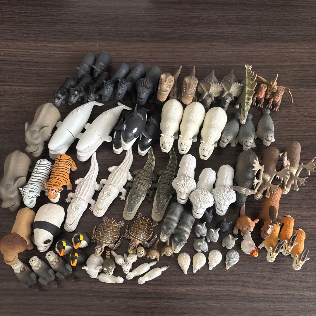 シャクレルプラネット 楽天市場】シャクレルプラネット セットの通販