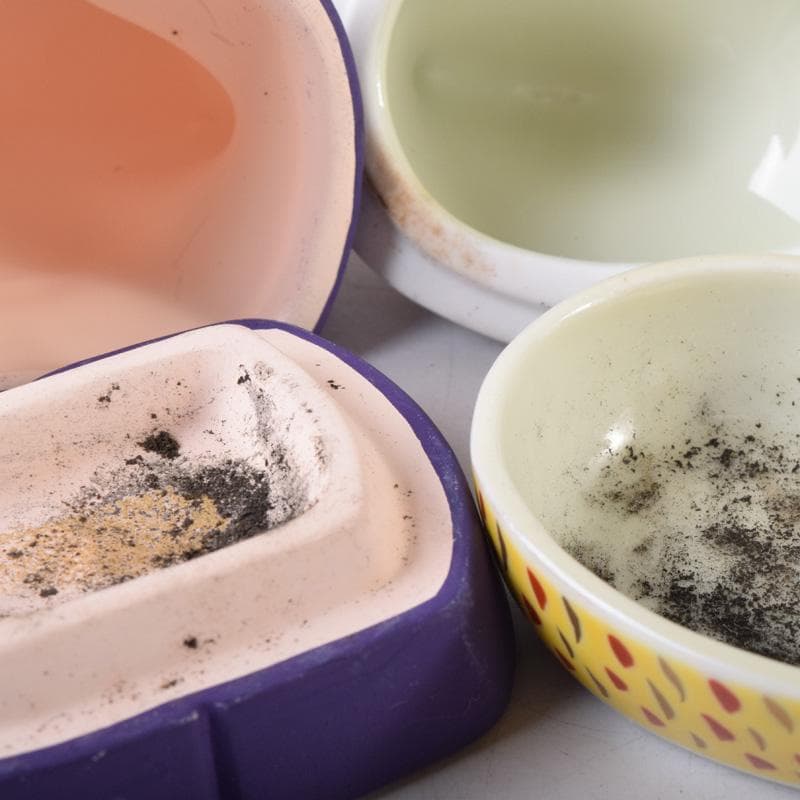 茶道具 楽山作 立雛他 干支 水鳥など 色絵香合 6点まとめて N