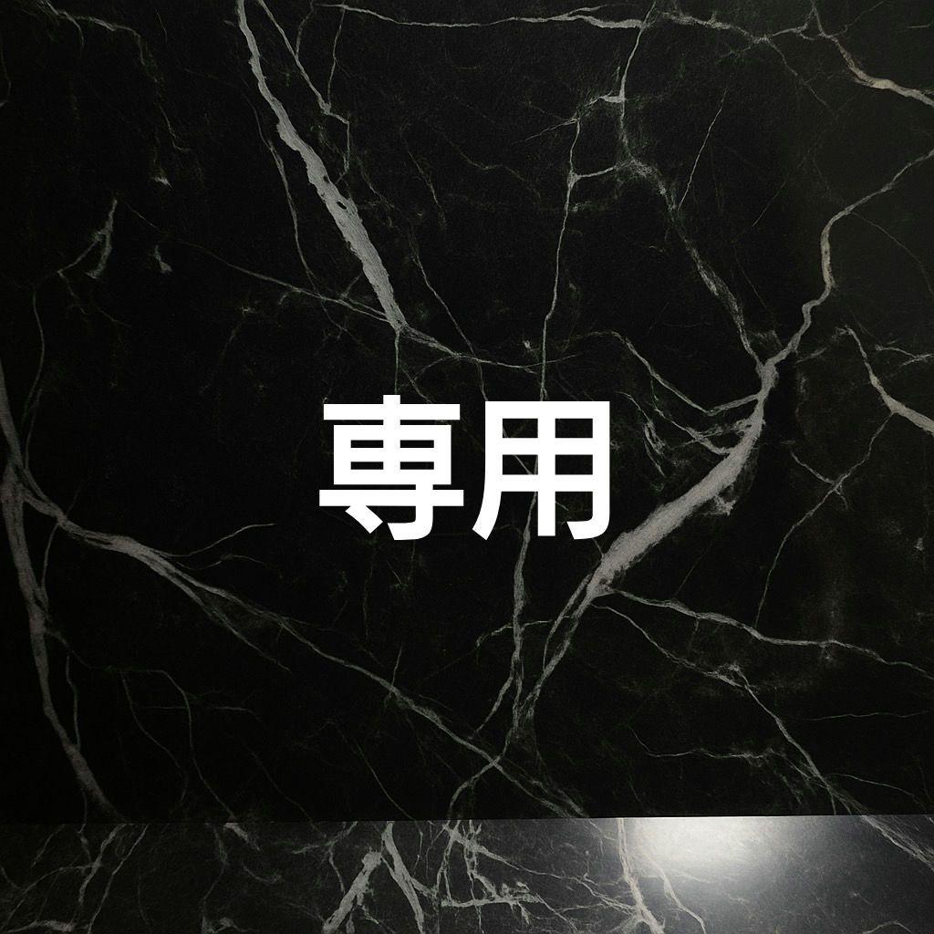 【PSA10】メガリザードンXex SAR #67 メガリザードンXex(110/080) | SAR | ドラゴンスター ネット買取