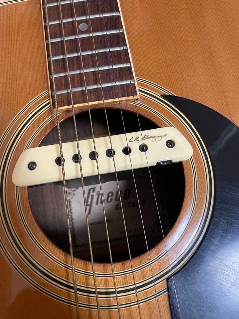 grecoグレコ F-180 / L.R.Baggs m1