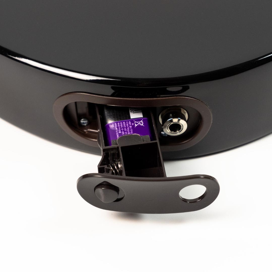 L.R.Baggs AEG-1 SB サンバースト・シトカ・スプルース 箱無特価