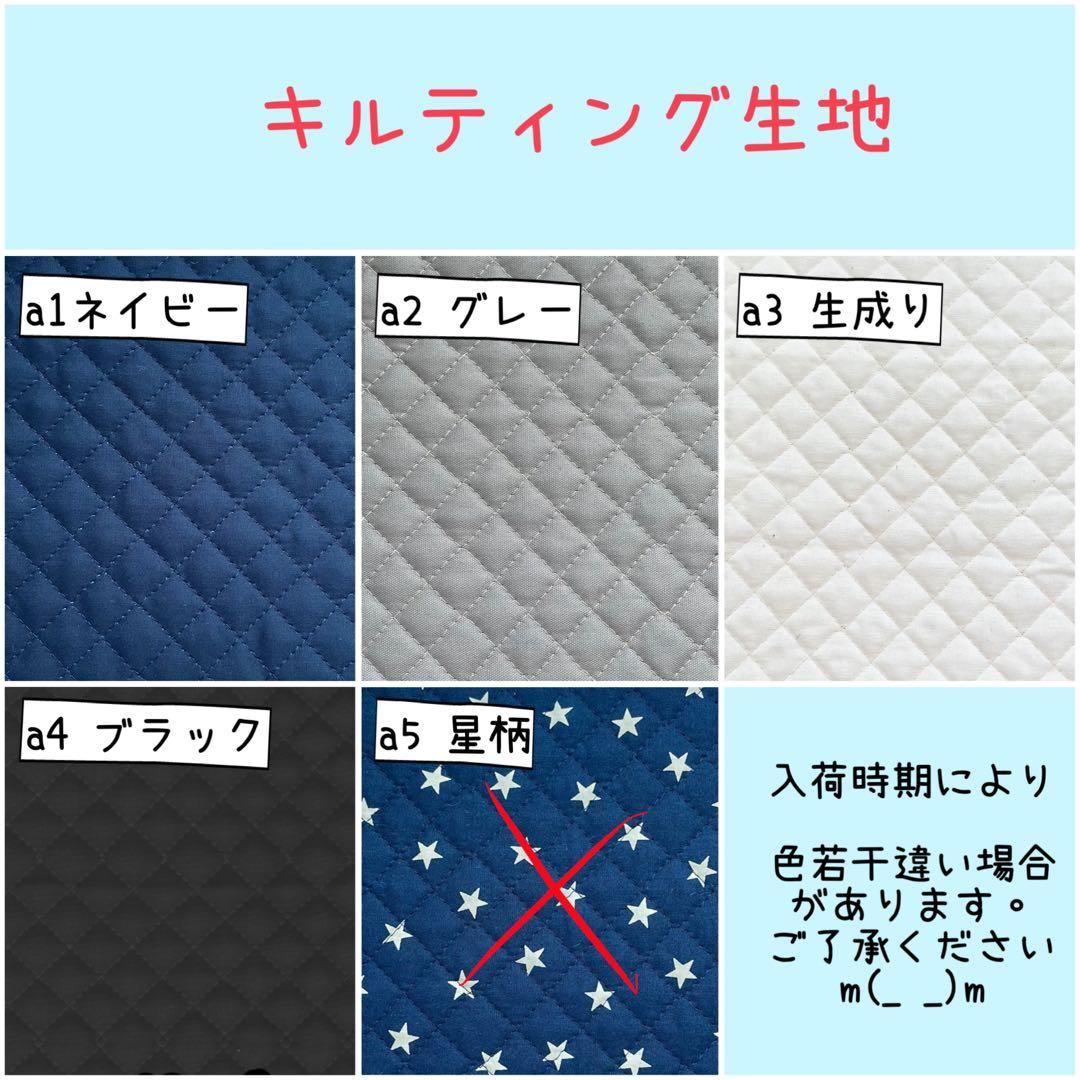 入園 入学 ☆レッスンバッグ　オーダー 受注注文 男の子《新幹線　電車　列車》