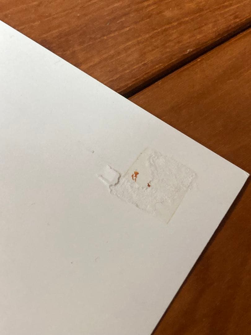 Beck ベック シルクスクリーン ポスター ダレン・グリーリッシュ直筆