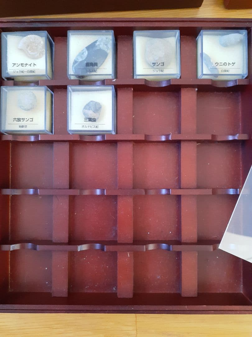 ディアゴスティーニ トレジャーストーン 鉱石標本セット 木製収納