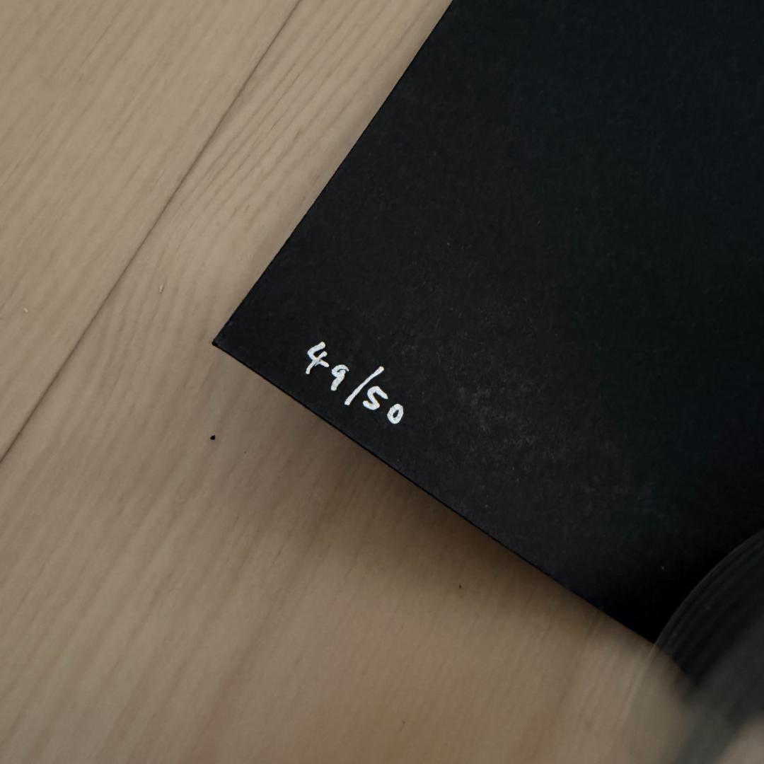 貴重 50部 Soulwax ソウルワックス 2manydjs シルクスクリーン - メルカリ