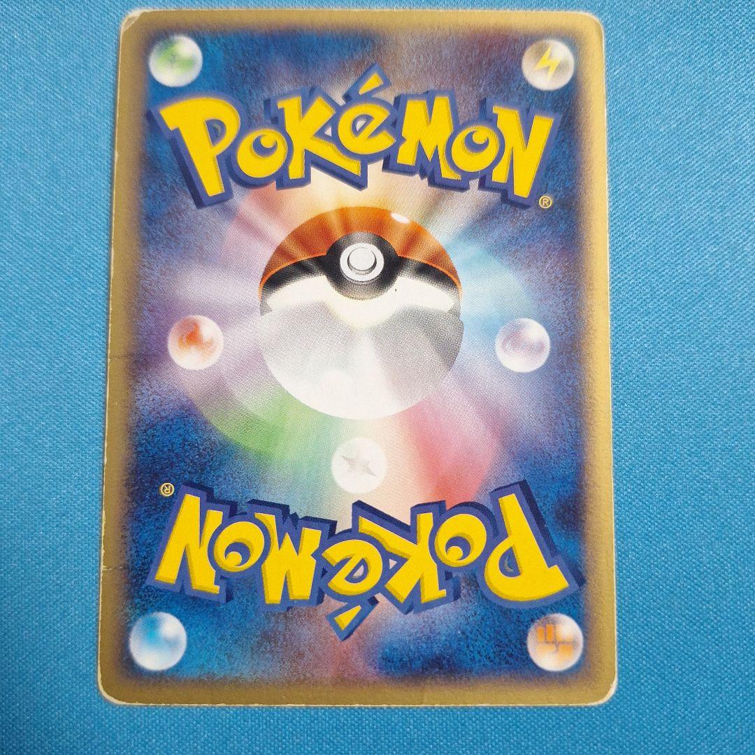 ライコウ ポケパークプレミアムファイル - メルカリ