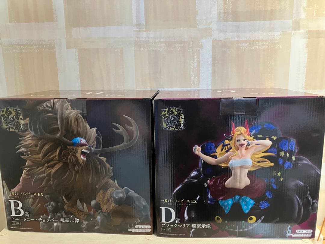 一番くじワンピース 悪魔を宿す者達 B・D賞 - メルカリ